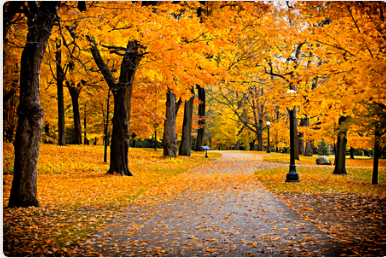 1601101322843081.png image.png